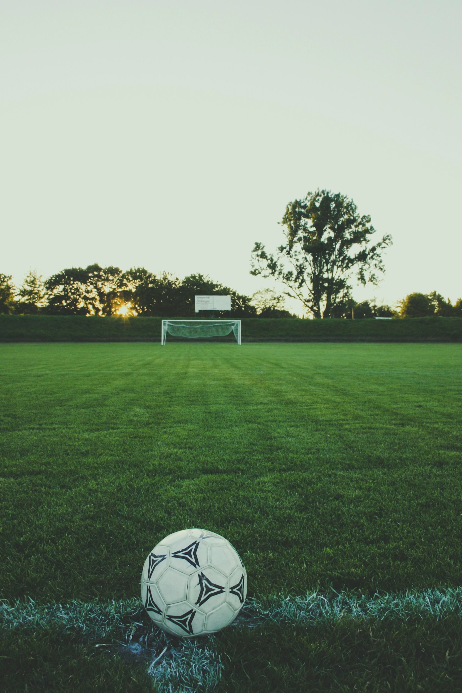 Ehrenamtliches Engagement für unseren Sportverein